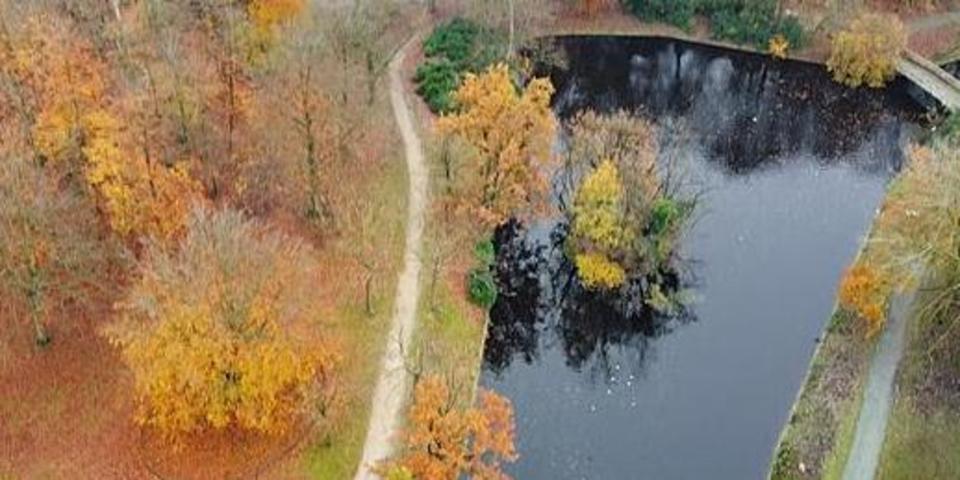 Vijver park Sorghvliedt